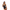 Deep V neck Bodysuit